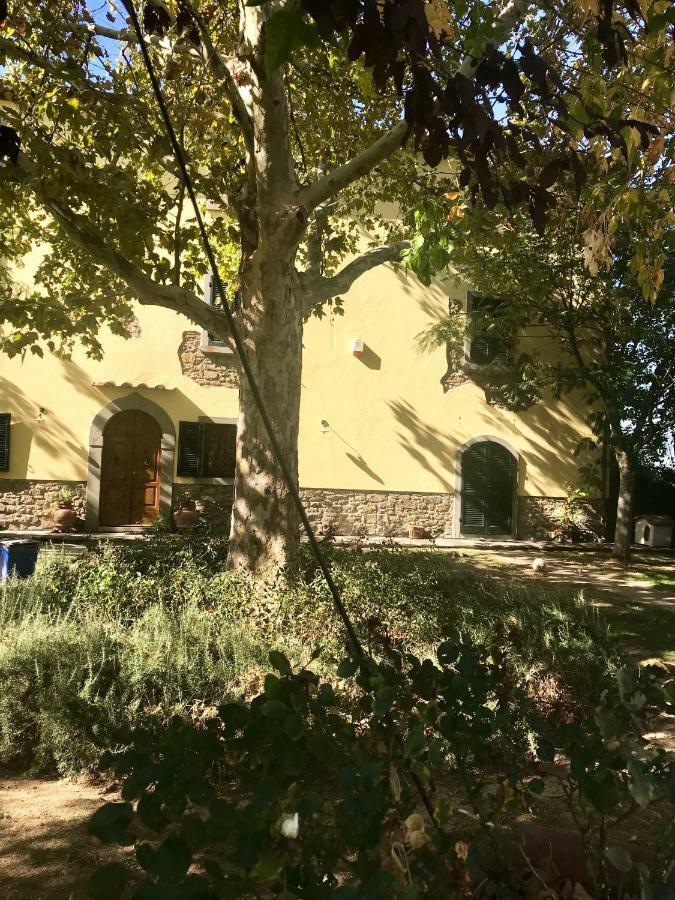 Giardino Di Sara Διαμέρισμα Κορτόνα Εξωτερικό φωτογραφία